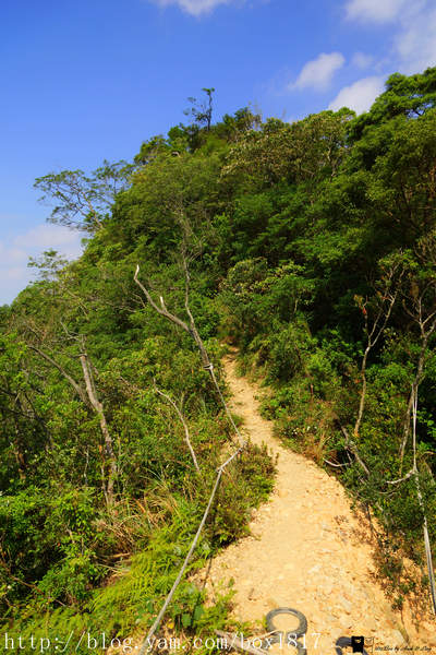 【苗栗。三義】熊熊烈火正在燃燒。惡地火炎山。亂石谷。自然保留區。火炎山步道