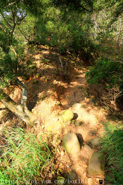 【苗栗。三義】熊熊烈火正在燃燒。惡地火炎山。亂石谷。自然保留區。火炎山步道