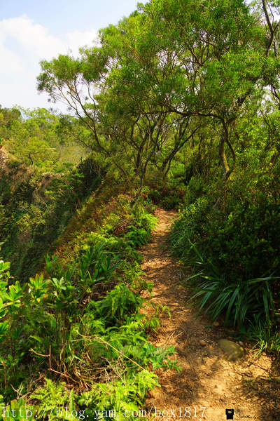 【苗栗。三義】熊熊烈火正在燃燒。惡地火炎山。亂石谷。自然保留區。火炎山步道