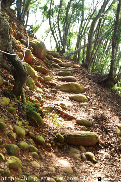 【苗栗。三義】熊熊烈火正在燃燒。惡地火炎山。亂石谷。自然保留區。火炎山步道