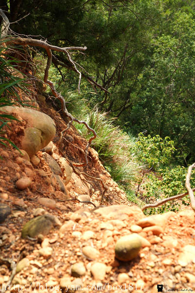 【苗栗。三義】熊熊烈火正在燃燒。惡地火炎山。亂石谷。自然保留區。火炎山步道