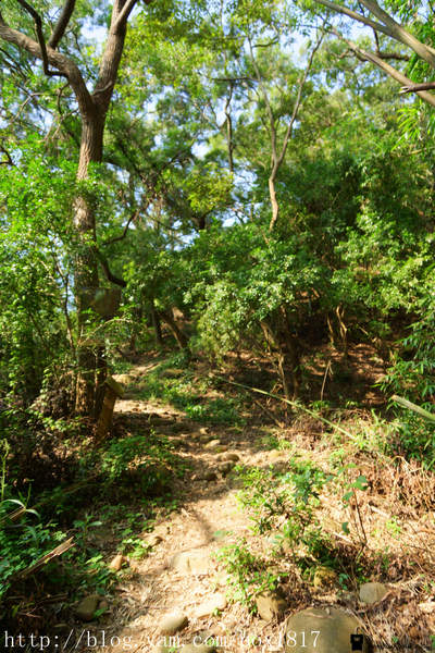 【苗栗。三義】熊熊烈火正在燃燒。惡地火炎山。亂石谷。自然保留區。火炎山步道