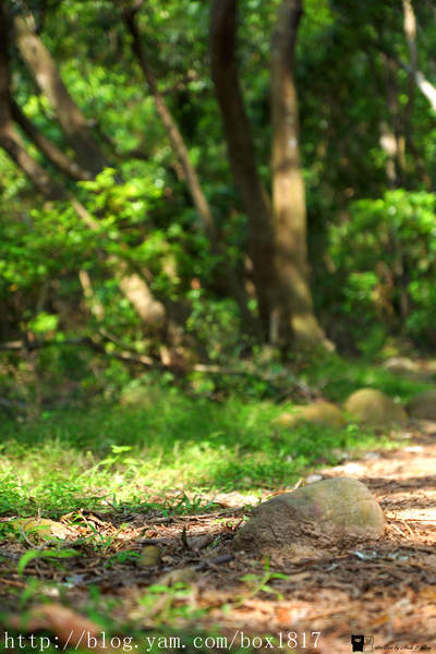 【苗栗。三義】熊熊烈火正在燃燒。惡地火炎山。亂石谷。自然保留區。火炎山步道