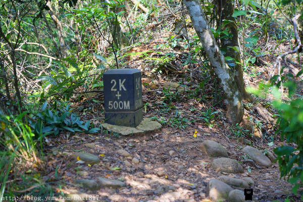 【苗栗。三義】熊熊烈火正在燃燒。惡地火炎山。亂石谷。自然保留區。火炎山步道