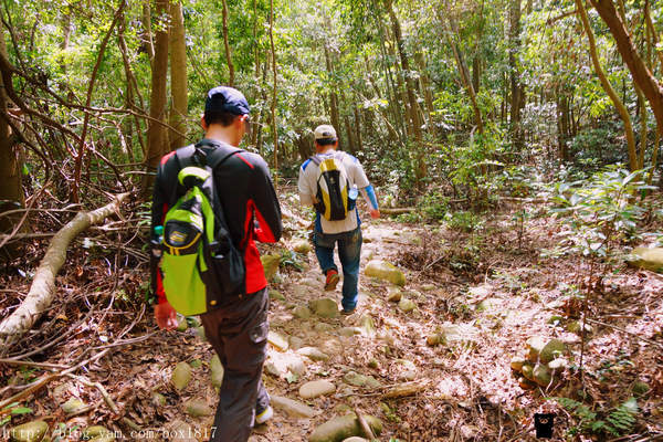 【苗栗。三義】熊熊烈火正在燃燒。惡地火炎山。亂石谷。自然保留區。火炎山步道