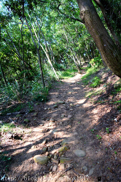 【苗栗。三義】熊熊烈火正在燃燒。惡地火炎山。亂石谷。自然保留區。火炎山步道