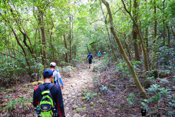 【苗栗。三義】熊熊烈火正在燃燒。惡地火炎山。亂石谷。自然保留區。火炎山步道