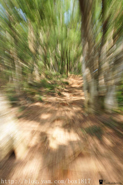 【苗栗。三義】熊熊烈火正在燃燒。惡地火炎山。亂石谷。自然保留區。火炎山步道