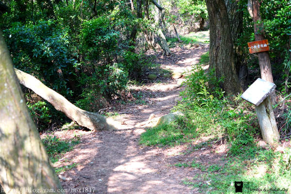【苗栗。三義】熊熊烈火正在燃燒。惡地火炎山。亂石谷。自然保留區。火炎山步道