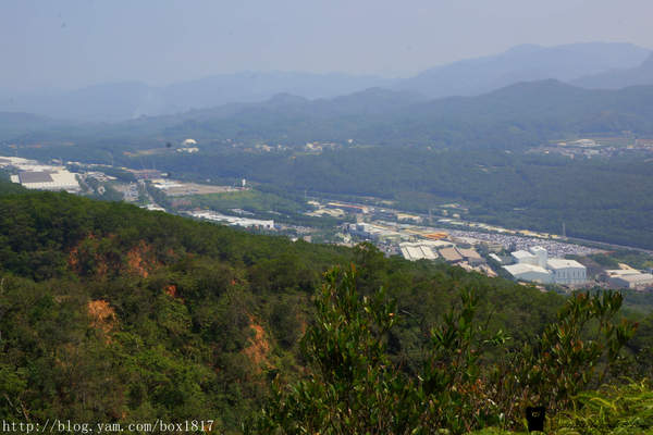 【苗栗。三義】熊熊烈火正在燃燒。惡地火炎山。亂石谷。自然保留區。火炎山步道