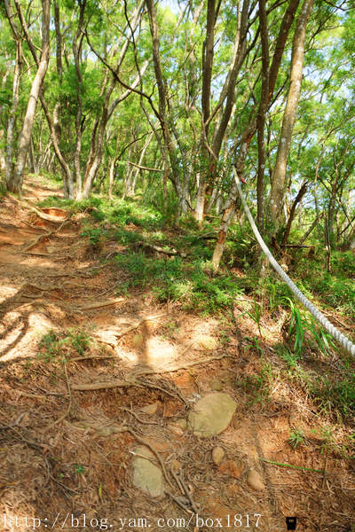 【苗栗。三義】熊熊烈火正在燃燒。惡地火炎山。亂石谷。自然保留區。火炎山步道