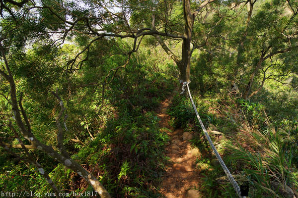 【苗栗。三義】熊熊烈火正在燃燒。惡地火炎山。亂石谷。自然保留區。火炎山步道