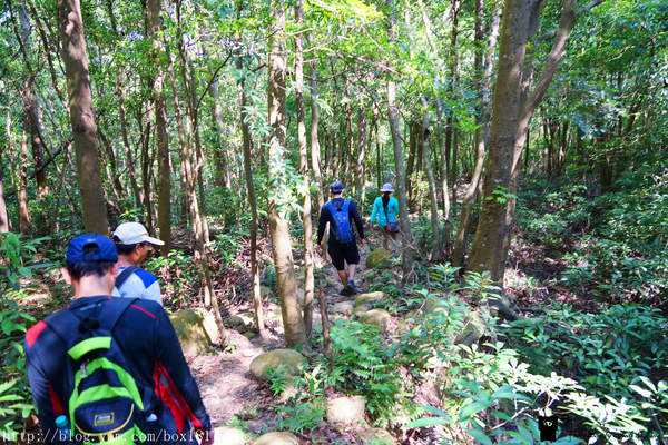 【苗栗。三義】熊熊烈火正在燃燒。惡地火炎山。亂石谷。自然保留區。火炎山步道