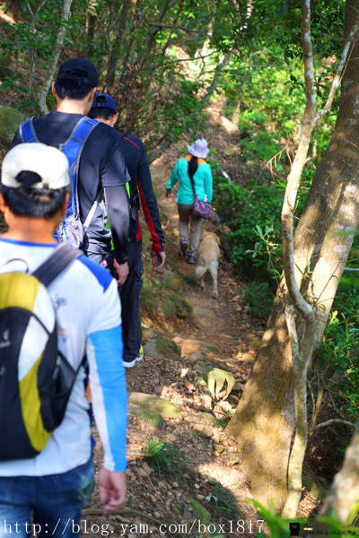 【苗栗。三義】熊熊烈火正在燃燒。惡地火炎山。亂石谷。自然保留區。火炎山步道