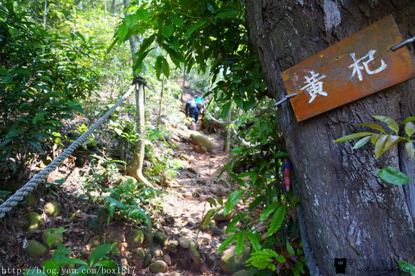 【苗栗。三義】熊熊烈火正在燃燒。惡地火炎山。亂石谷。自然保留區。火炎山步道