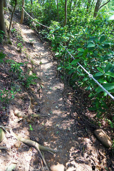 【苗栗。三義】熊熊烈火正在燃燒。惡地火炎山。亂石谷。自然保留區。火炎山步道