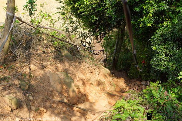 【苗栗。三義】熊熊烈火正在燃燒。惡地火炎山。亂石谷。自然保留區。火炎山步道