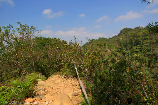 【苗栗。三義】熊熊烈火正在燃燒。惡地火炎山。亂石谷。自然保留區。火炎山步道