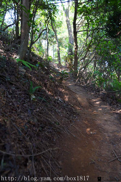【苗栗。三義】熊熊烈火正在燃燒。惡地火炎山。亂石谷。自然保留區。火炎山步道