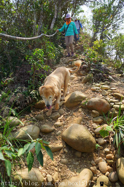 【苗栗。三義】熊熊烈火正在燃燒。惡地火炎山。亂石谷。自然保留區。火炎山步道