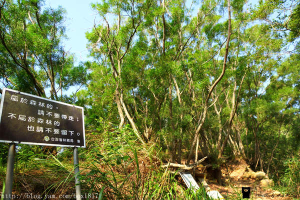 【苗栗。三義】熊熊烈火正在燃燒。惡地火炎山。亂石谷。自然保留區。火炎山步道