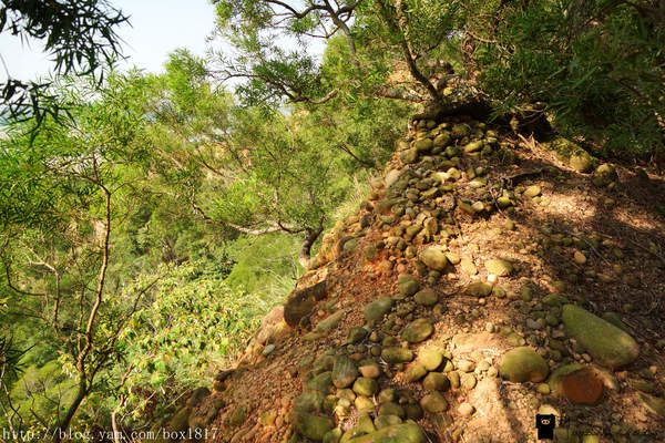 【苗栗。三義】熊熊烈火正在燃燒。惡地火炎山。亂石谷。自然保留區。火炎山步道