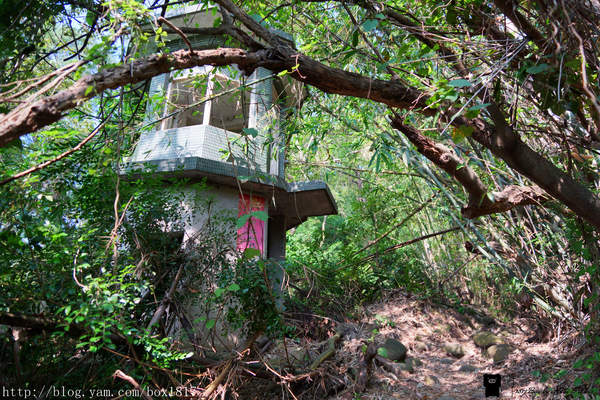 【苗栗。三義】熊熊烈火正在燃燒。惡地火炎山。亂石谷。自然保留區。火炎山步道