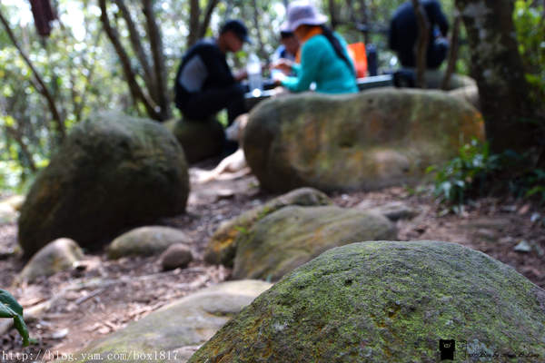 【苗栗。三義】熊熊烈火正在燃燒。惡地火炎山。亂石谷。自然保留區。火炎山步道