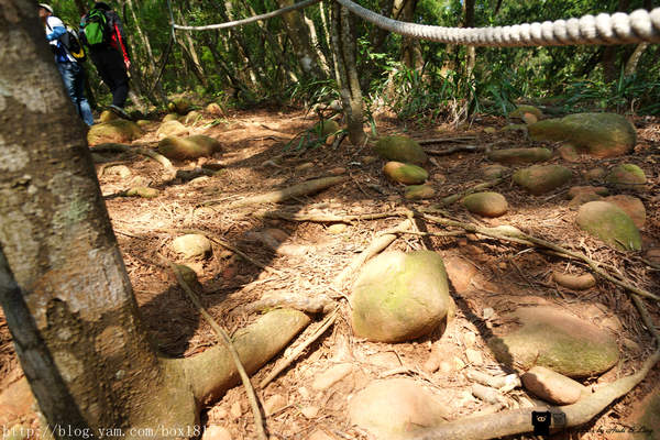 【苗栗。三義】熊熊烈火正在燃燒。惡地火炎山。亂石谷。自然保留區。火炎山步道