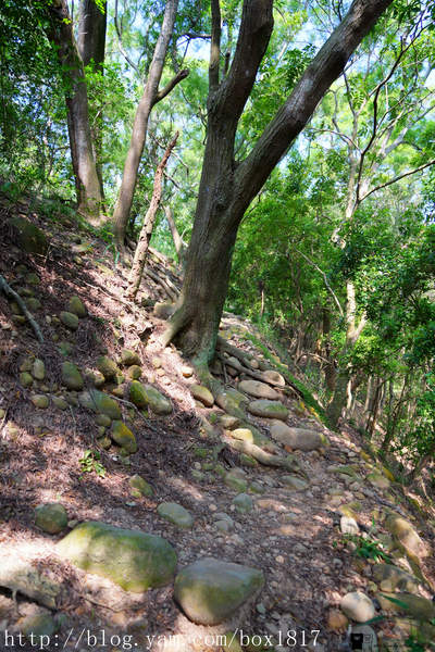 【苗栗。三義】熊熊烈火正在燃燒。惡地火炎山。亂石谷。自然保留區。火炎山步道