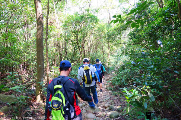 【苗栗。三義】熊熊烈火正在燃燒。惡地火炎山。亂石谷。自然保留區。火炎山步道