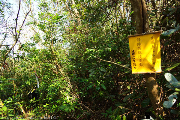 【苗栗。三義】熊熊烈火正在燃燒。惡地火炎山。亂石谷。自然保留區。火炎山步道