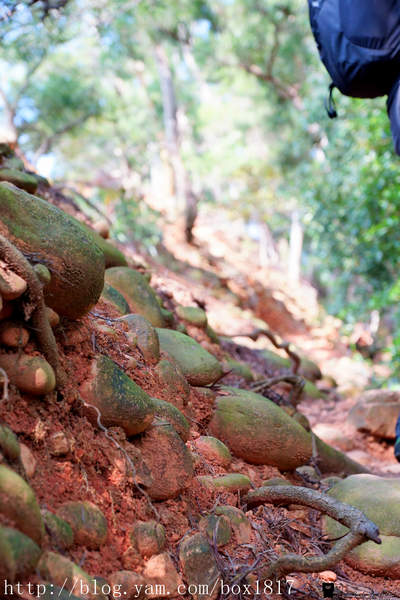 【苗栗。三義】熊熊烈火正在燃燒。惡地火炎山。亂石谷。自然保留區。火炎山步道