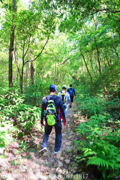 【苗栗。三義】熊熊烈火正在燃燒。惡地火炎山。亂石谷。自然保留區。火炎山步道