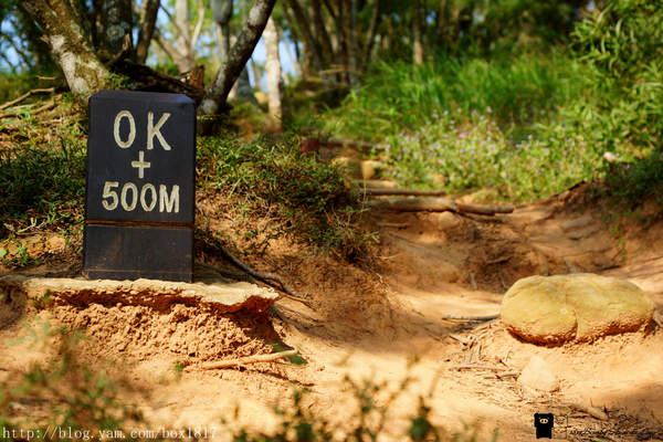 【苗栗。三義】熊熊烈火正在燃燒。惡地火炎山。亂石谷。自然保留區。火炎山步道