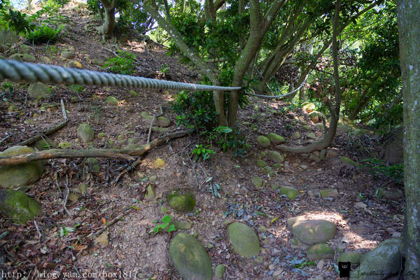 【苗栗。三義】熊熊烈火正在燃燒。惡地火炎山。亂石谷。自然保留區。火炎山步道