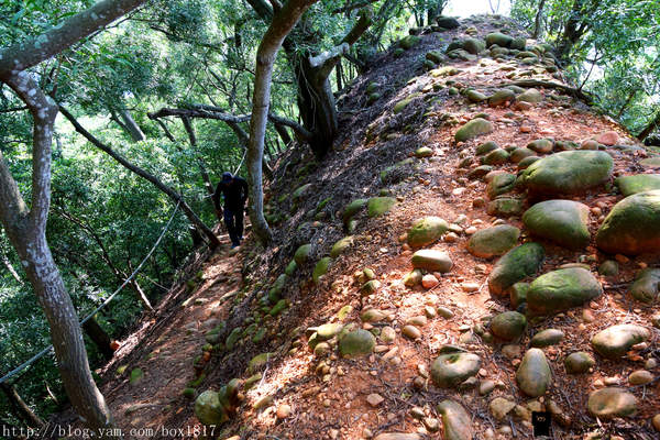 【苗栗。三義】熊熊烈火正在燃燒。惡地火炎山。亂石谷。自然保留區。火炎山步道