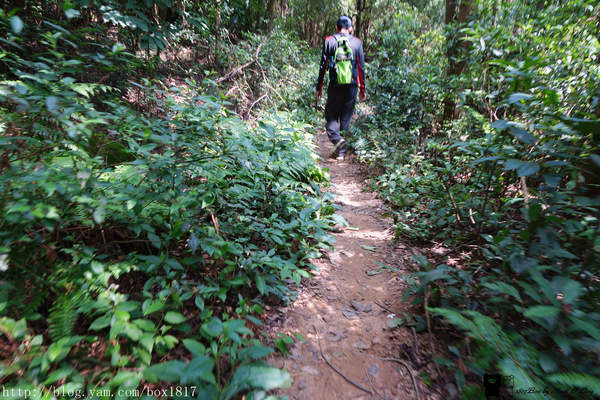 【苗栗。三義】熊熊烈火正在燃燒。惡地火炎山。亂石谷。自然保留區。火炎山步道