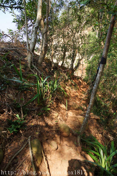 【苗栗。三義】熊熊烈火正在燃燒。惡地火炎山。亂石谷。自然保留區。火炎山步道