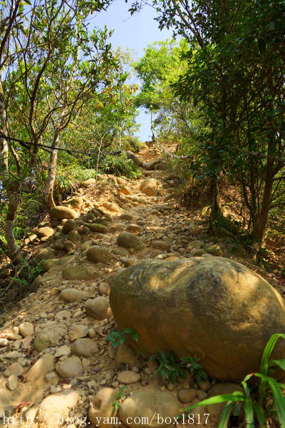 【苗栗。三義】熊熊烈火正在燃燒。惡地火炎山。亂石谷。自然保留區。火炎山步道