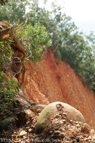 【苗栗。三義】熊熊烈火正在燃燒。惡地火炎山。亂石谷。自然保留區。火炎山步道