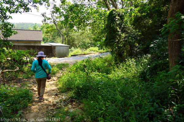 【苗栗。三義】熊熊烈火正在燃燒。惡地火炎山。亂石谷。自然保留區。火炎山步道