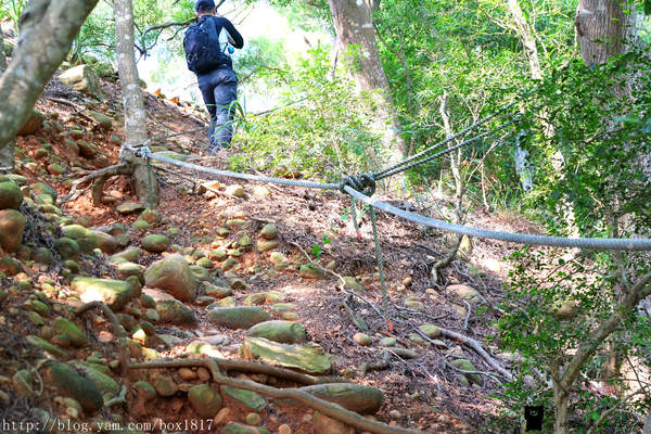 【苗栗。三義】熊熊烈火正在燃燒。惡地火炎山。亂石谷。自然保留區。火炎山步道