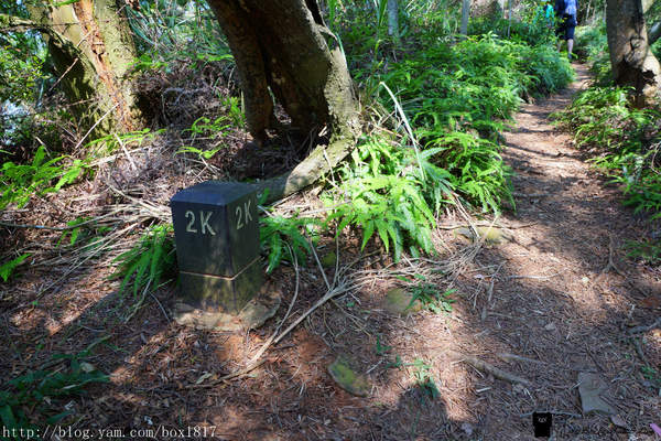 【苗栗。三義】熊熊烈火正在燃燒。惡地火炎山。亂石谷。自然保留區。火炎山步道