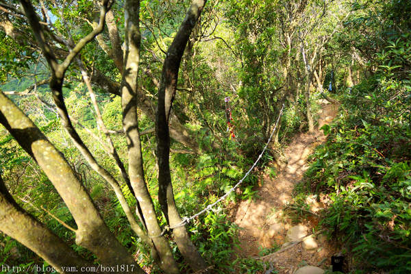 【苗栗。三義】熊熊烈火正在燃燒。惡地火炎山。亂石谷。自然保留區。火炎山步道