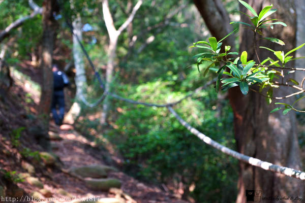 【苗栗。三義】熊熊烈火正在燃燒。惡地火炎山。亂石谷。自然保留區。火炎山步道