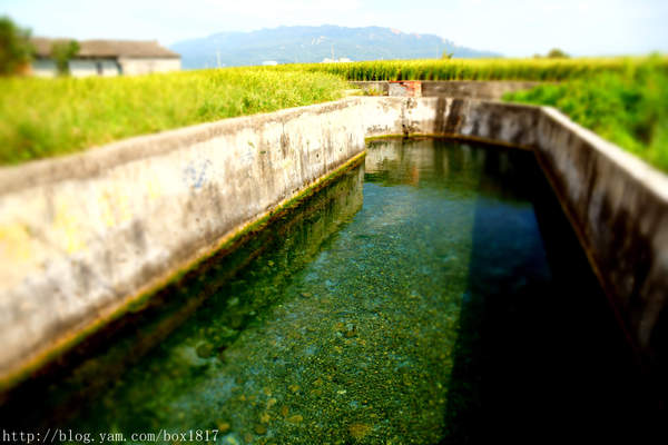 【苗栗。三義】熊熊烈火正在燃燒。惡地火炎山。亂石谷。自然保留區。火炎山步道