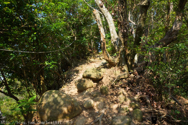 【苗栗。三義】熊熊烈火正在燃燒。惡地火炎山。亂石谷。自然保留區。火炎山步道