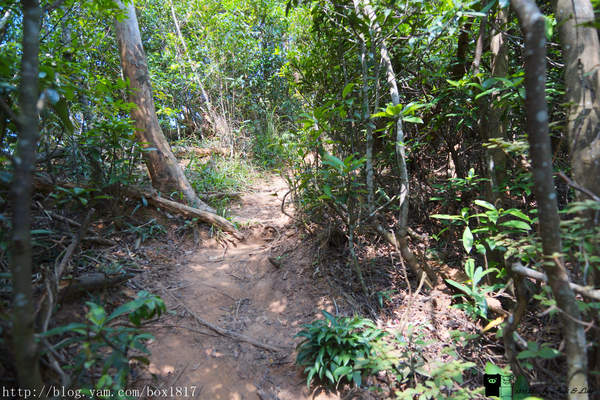 【苗栗。三義】熊熊烈火正在燃燒。惡地火炎山。亂石谷。自然保留區。火炎山步道