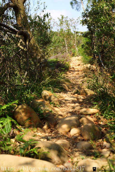 【苗栗。三義】熊熊烈火正在燃燒。惡地火炎山。亂石谷。自然保留區。火炎山步道